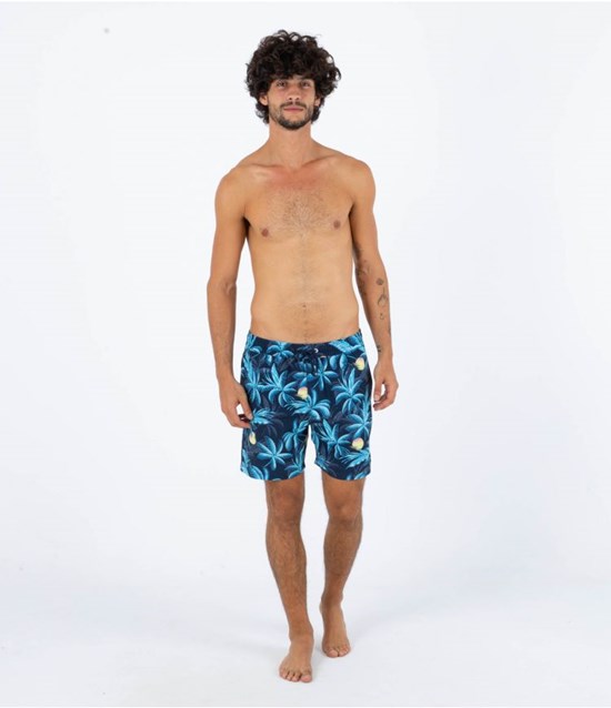 Hurley Boardshort 17" Cannoball Volley Schwarz | 32RTLOMFH
