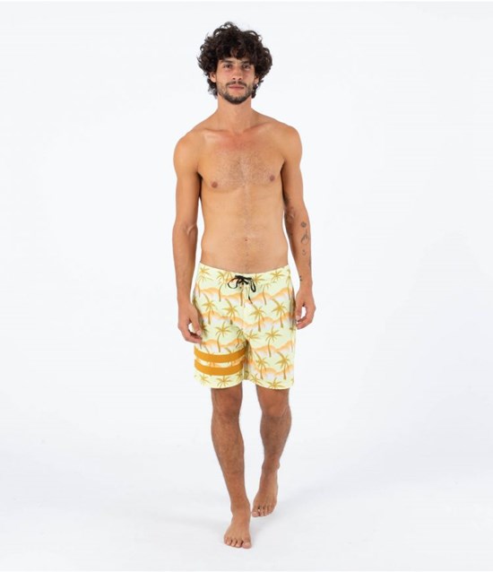 Hurley Boardshort 18" Block Party Grün | 57YRWAENZ