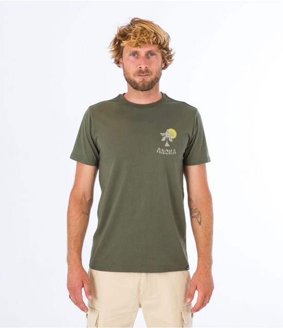 Hurley T-shirt Kurzes Sleeve Country Dunkelgrün | 98WJAMHBC