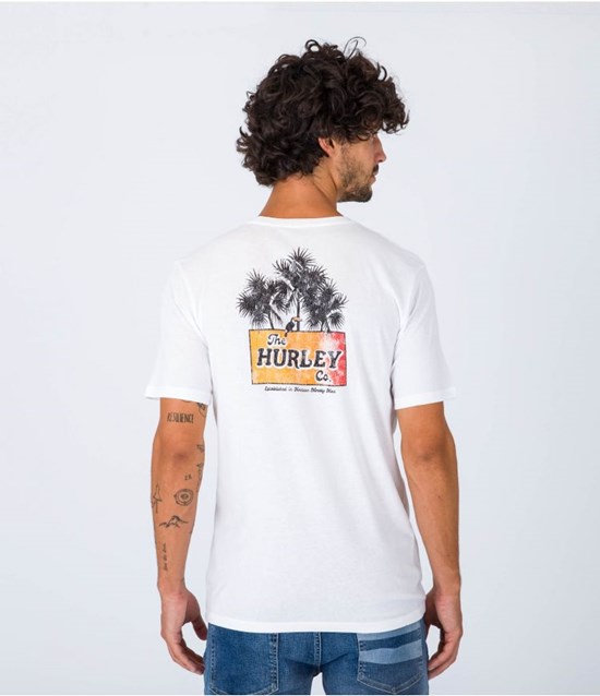 Hurley T-shirt Kurzes Sleeve Edv Wsh No Cancy Weiß | 27QFNRKBC