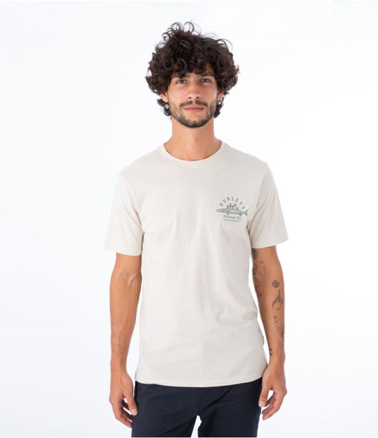Hurley T-shirt Kurzes Sleeve Everyday Baracuda Bar Bone | 95DEVWKQA