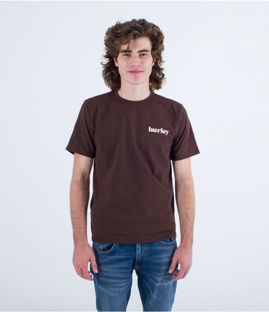 Hurley T-shirt Kurzes Sleeve Everyday Recycled Lowers Puff Braun | 01DUZCWSI
