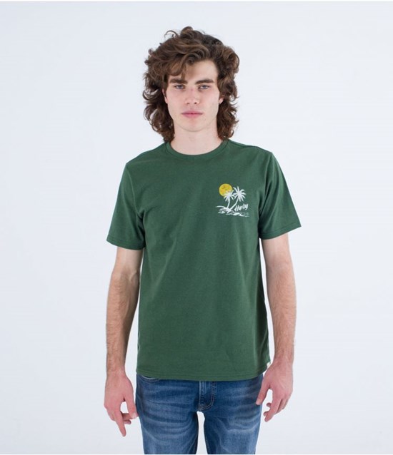 Hurley T-shirt Kurzes Sleeve Everyday Recycled Little Vacay Jungle | 75ICWTMNV