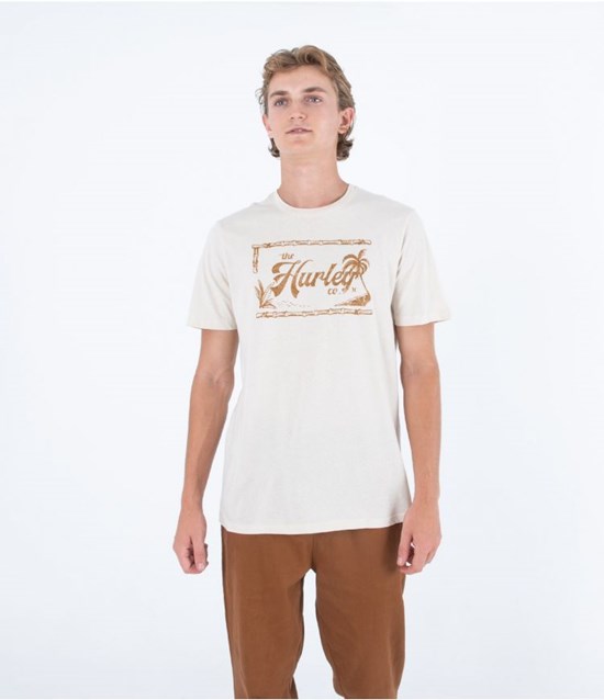 Hurley T-shirt Kurzes Sleeve Everyday Vintage Bone | 64XUEKTIV