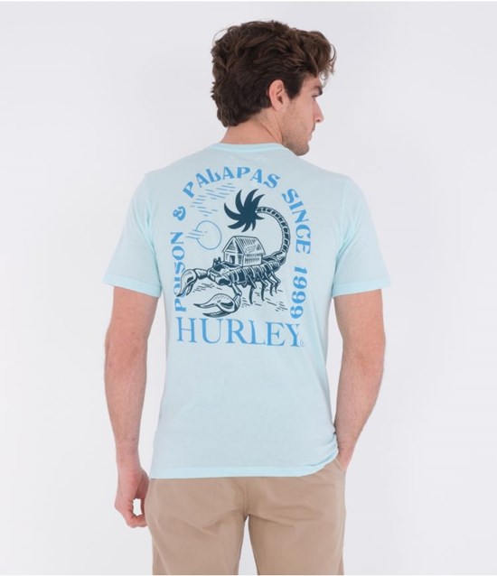 Hurley T-shirt Kurzes Sleeve Everyday Washed Poison + Palapas Teal Tinted Heather | 67GEVLNTS