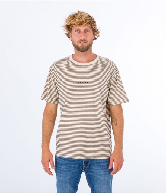 Hurley T-shirt Kurzes Sleeve H2o Dri Tonal Stripe Taupe Haze | 93FBWHRLQ