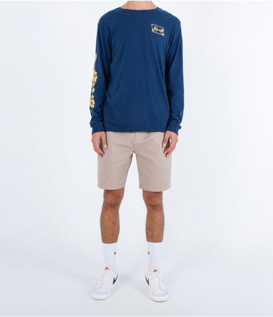 Hurley Walkshort 20" Pleasure Point Grau | 74GVXEDMF