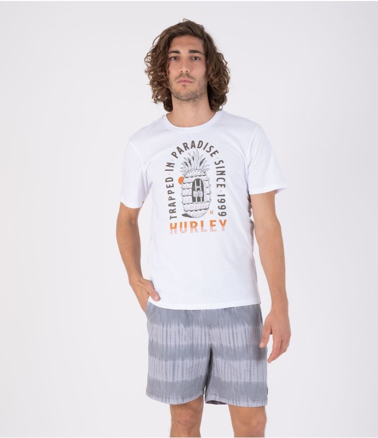 Hurley Phantom Naturals Volley 18' Shorts Schwarz | 54SJXYMBE