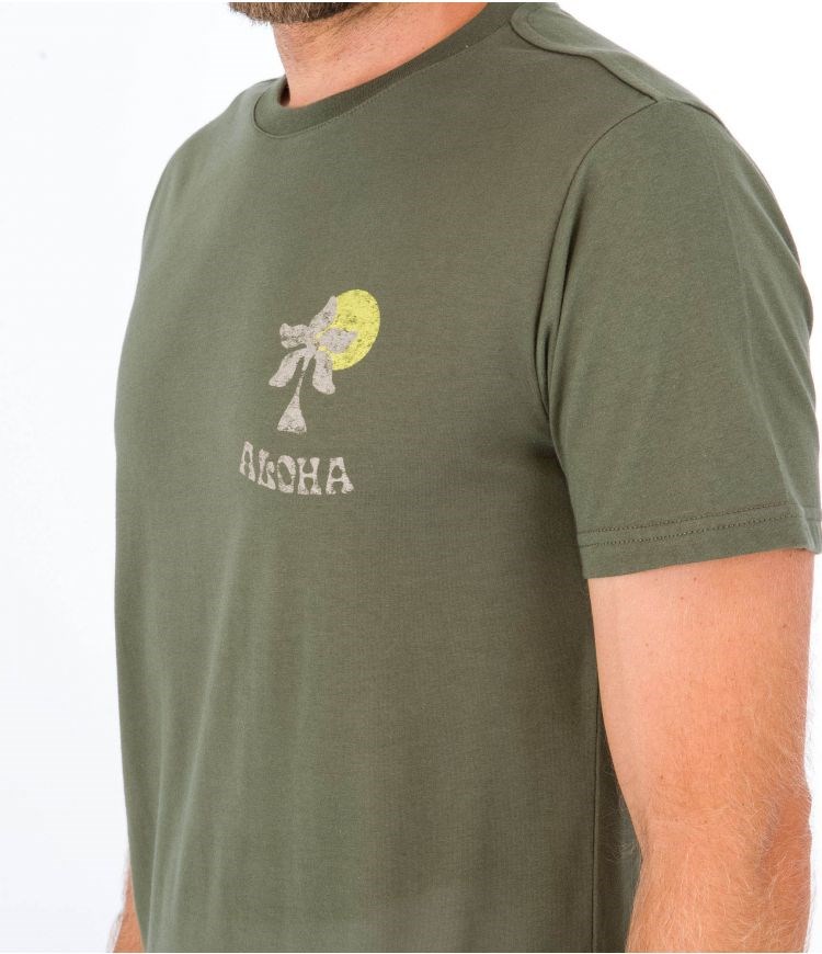 Hurley T-shirt Kurzes Sleeve Country Dunkelgrün | 98WJAMHBC