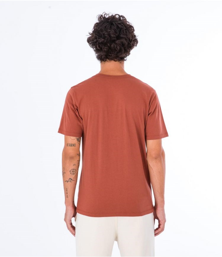 Hurley T-shirt Kurzes Sleeve Everyday Explore Reflector Zion Rust | 62RMUXBQD