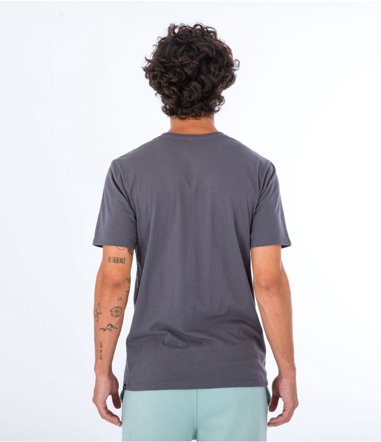 Hurley T-shirt Kurzes Sleeve Everyday Explore Mountain Man Grau | 83YTXUGRP