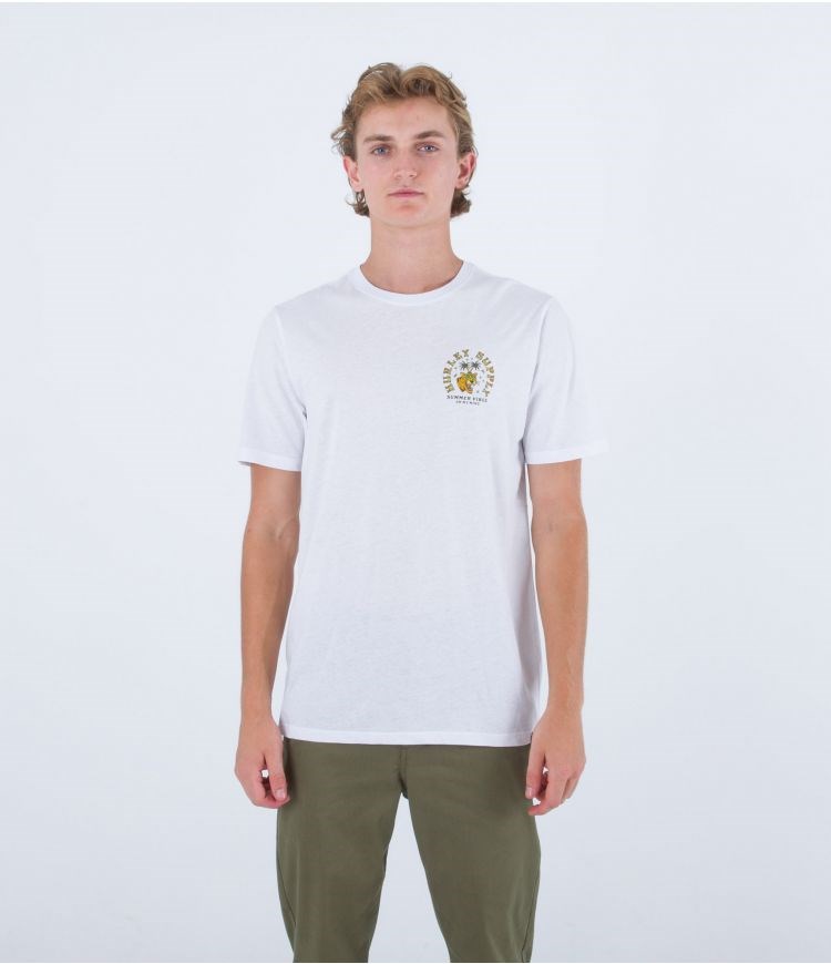 Hurley T-shirt Kurzes Sleeve Everyday Summer Vibes Weiß | 49WRBDPYF