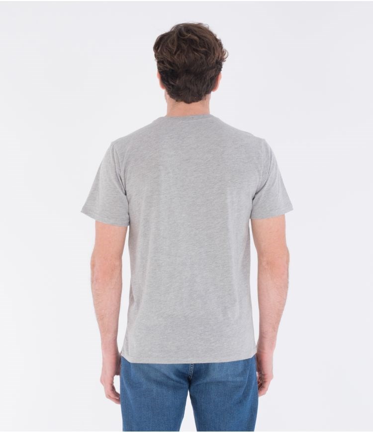 Hurley T-shirt Kurzes Sleeve Everyday Washed Core O&o Grau | 35LIEVHCB