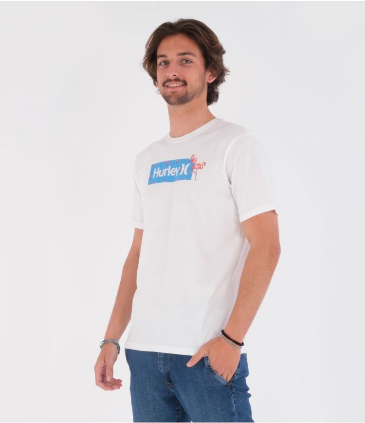 Hurley T-shirt Kurzes Sleeve Everyday Washed Disty Box Weiß | 36FQKJBYV