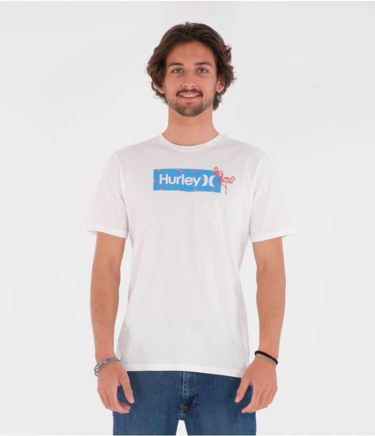 Hurley T-shirt Kurzes Sleeve Everyday Washed Disty Box Weiß | 36FQKJBYV