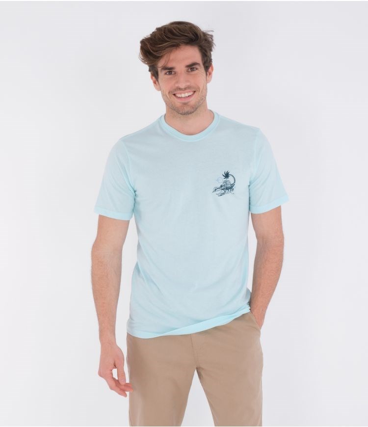 Hurley T-shirt Kurzes Sleeve Everyday Washed Poison + Palapas Teal Tinted Heather | 67GEVLNTS