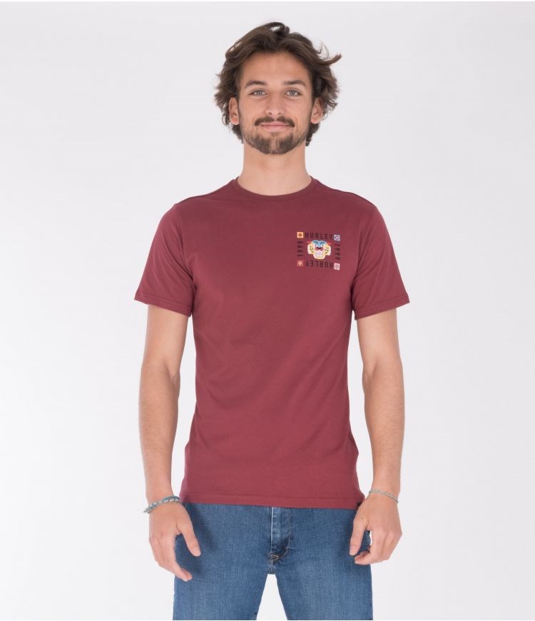 Hurley T-shirt Print Bengal Ss Rot | 67GXUWHAD